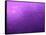 Purple Rain-Philippe Sainte-Laudy-Framed Stretched Canvas