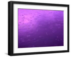 Purple Rain-Philippe Sainte-Laudy-Framed Photographic Print