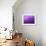 Purple Rain-Philippe Sainte-Laudy-Framed Photographic Print displayed on a wall