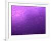 Purple Rain-Philippe Sainte-Laudy-Framed Photographic Print