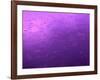 Purple Rain-Philippe Sainte-Laudy-Framed Photographic Print