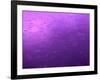 Purple Rain-Philippe Sainte-Laudy-Framed Photographic Print