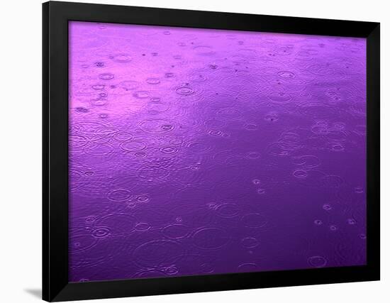 Purple Rain-Philippe Sainte-Laudy-Framed Photographic Print