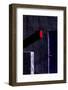 Purple & Red-Steven Maxx-Framed Photographic Print