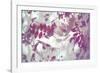 Purple Robinia-Jo Crowther-Framed Giclee Print