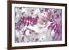 Purple Robinia-Jo Crowther-Framed Giclee Print