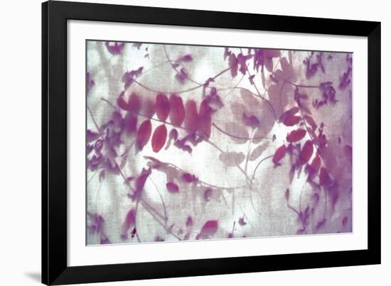 Purple Robinia-Jo Crowther-Framed Giclee Print