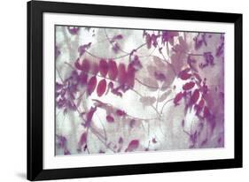 Purple Robinia-Jo Crowther-Framed Giclee Print