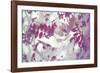 Purple Robinia-Jo Crowther-Framed Giclee Print