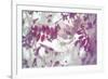 Purple Robinia-Jo Crowther-Framed Giclee Print