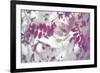 Purple Robinia-Jo Crowther-Framed Giclee Print