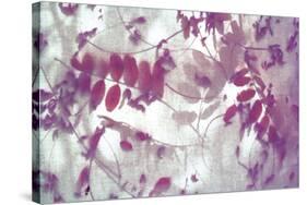 Purple Robinia-Jo Crowther-Stretched Canvas