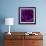 Purple Rose 01-Tom Quartermaine-Framed Giclee Print displayed on a wall