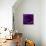 Purple Rose 01-Tom Quartermaine-Giclee Print displayed on a wall