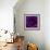 Purple Rose 01-Tom Quartermaine-Framed Giclee Print displayed on a wall