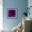 Purple Rose 01-Tom Quartermaine-Framed Giclee Print displayed on a wall