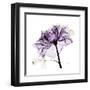 Purple Rose 2-Albert Koetsier-Framed Art Print