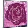 Purple Rose-Anna Flores-Mounted Art Print