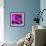 Purple Rose-null-Framed Photographic Print displayed on a wall