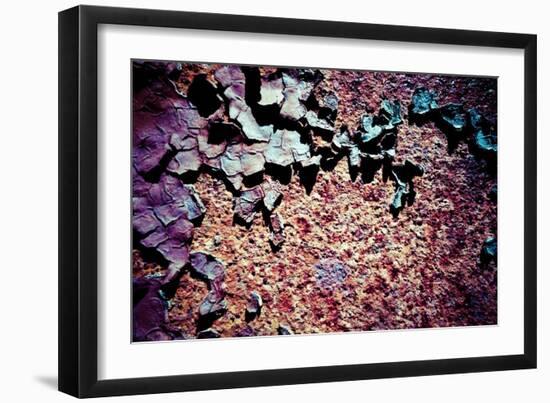 Purple Rust Up Close I-Jean-François Dupuis-Framed Art Print