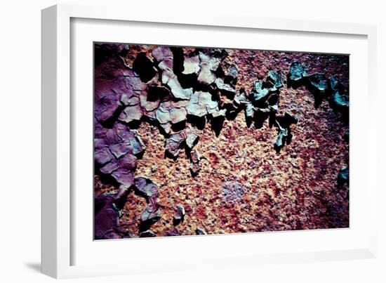 Purple Rust Up Close I-Jean-François Dupuis-Framed Art Print