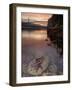 Purple Sea Star (Asterias Ochracea) and Lions Gate Bridge, Stanley Park, British Columbia, Canada-Paul Colangelo-Framed Photographic Print