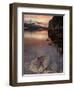 Purple Sea Star (Asterias Ochracea) and Lions Gate Bridge, Stanley Park, British Columbia, Canada-Paul Colangelo-Framed Photographic Print