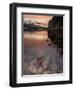 Purple Sea Star (Asterias Ochracea) and Lions Gate Bridge, Stanley Park, British Columbia, Canada-Paul Colangelo-Framed Photographic Print