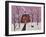 Purple Sky 2-Karla Gerard-Framed Giclee Print