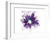 Purple Splash Flower-Elle Stewart-Framed Art Print