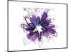 Purple Splash Flower-Elle Stewart-Mounted Art Print