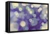 Purple Spotted Background-Saiva-Framed Stretched Canvas