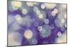 Purple Spotted Background-Saiva-Mounted Photographic Print