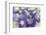 Purple Spotted Background-Saiva-Framed Photographic Print