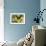 Purple Spotted Swallowtail Butterfly, Graphium Weskit-Darrell Gulin-Framed Photographic Print displayed on a wall