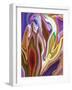 Purple Spring 2-Rabi Khan-Framed Art Print