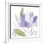 Purple Spring 2-Kimberly Allen-Framed Art Print