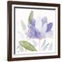 Purple Spring 2-Kimberly Allen-Framed Art Print