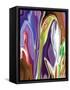 Purple Spring-Rabi Khan-Framed Stretched Canvas