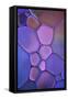 Purple Stained Glass-Cora Niele-Framed Stretched Canvas