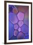 Purple Stained Glass-Cora Niele-Framed Photographic Print