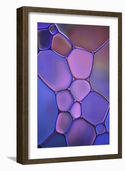 Purple Stained Glass-Cora Niele-Framed Photographic Print