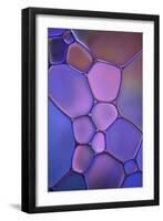 Purple Stained Glass-Cora Niele-Framed Photographic Print