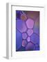 Purple Stained Glass-Cora Niele-Framed Photographic Print