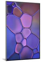 Purple Stained Glass-Cora Niele-Mounted Photographic Print