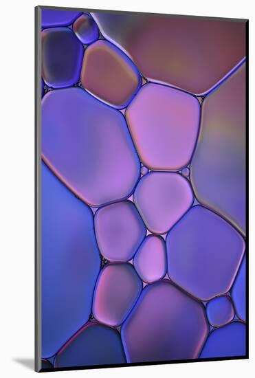 Purple Stained Glass-Cora Niele-Mounted Photographic Print