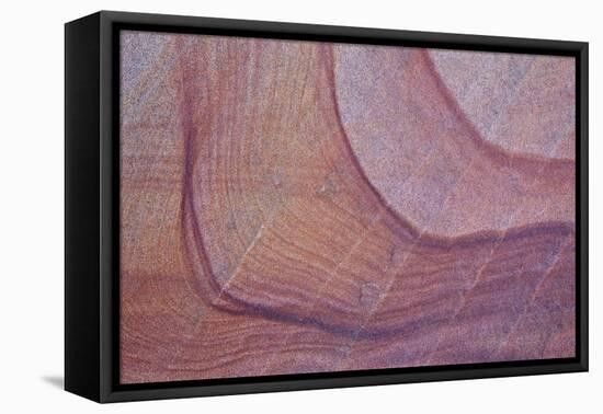 Purple Stains in Sandstone, Coyote Buttes Wilderness, Vermilion Cliffs National Monument-James Hager-Framed Stretched Canvas