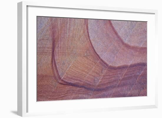 Purple Stains in Sandstone, Coyote Buttes Wilderness, Vermilion Cliffs National Monument-James Hager-Framed Photographic Print