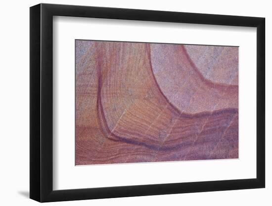 Purple Stains in Sandstone, Coyote Buttes Wilderness, Vermilion Cliffs National Monument-James Hager-Framed Photographic Print