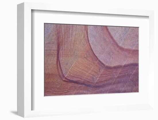 Purple Stains in Sandstone, Coyote Buttes Wilderness, Vermilion Cliffs National Monument-James Hager-Framed Photographic Print